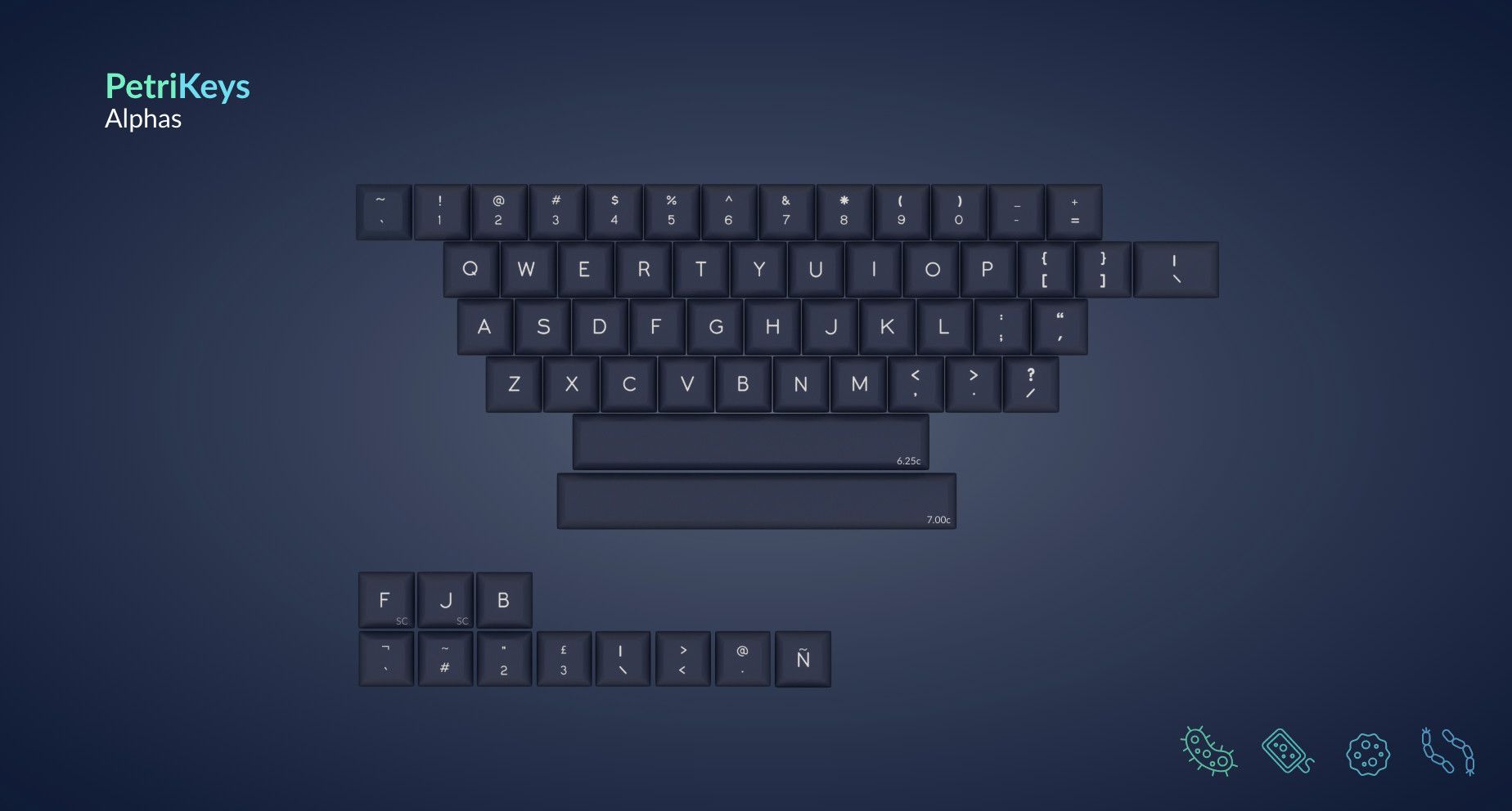DSA PetriKeys - Alphas