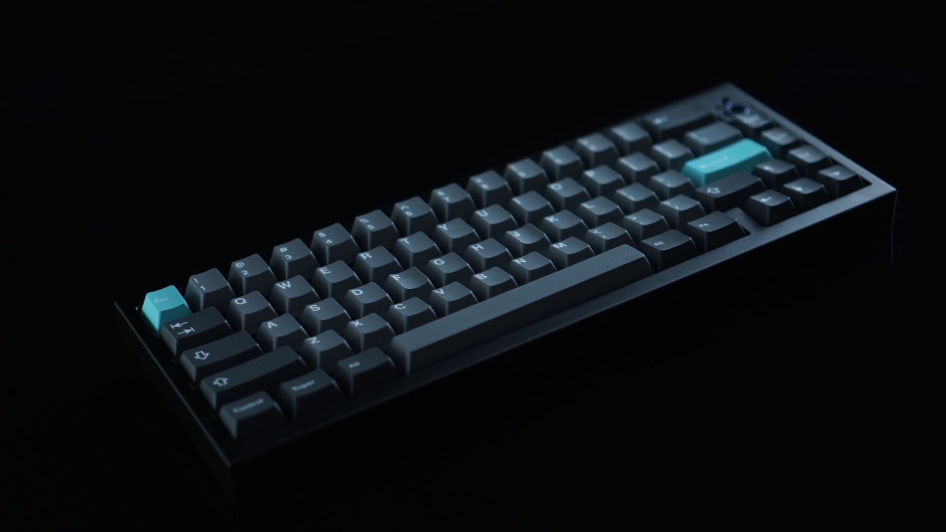 Toffee Studio - Blueberry - Top