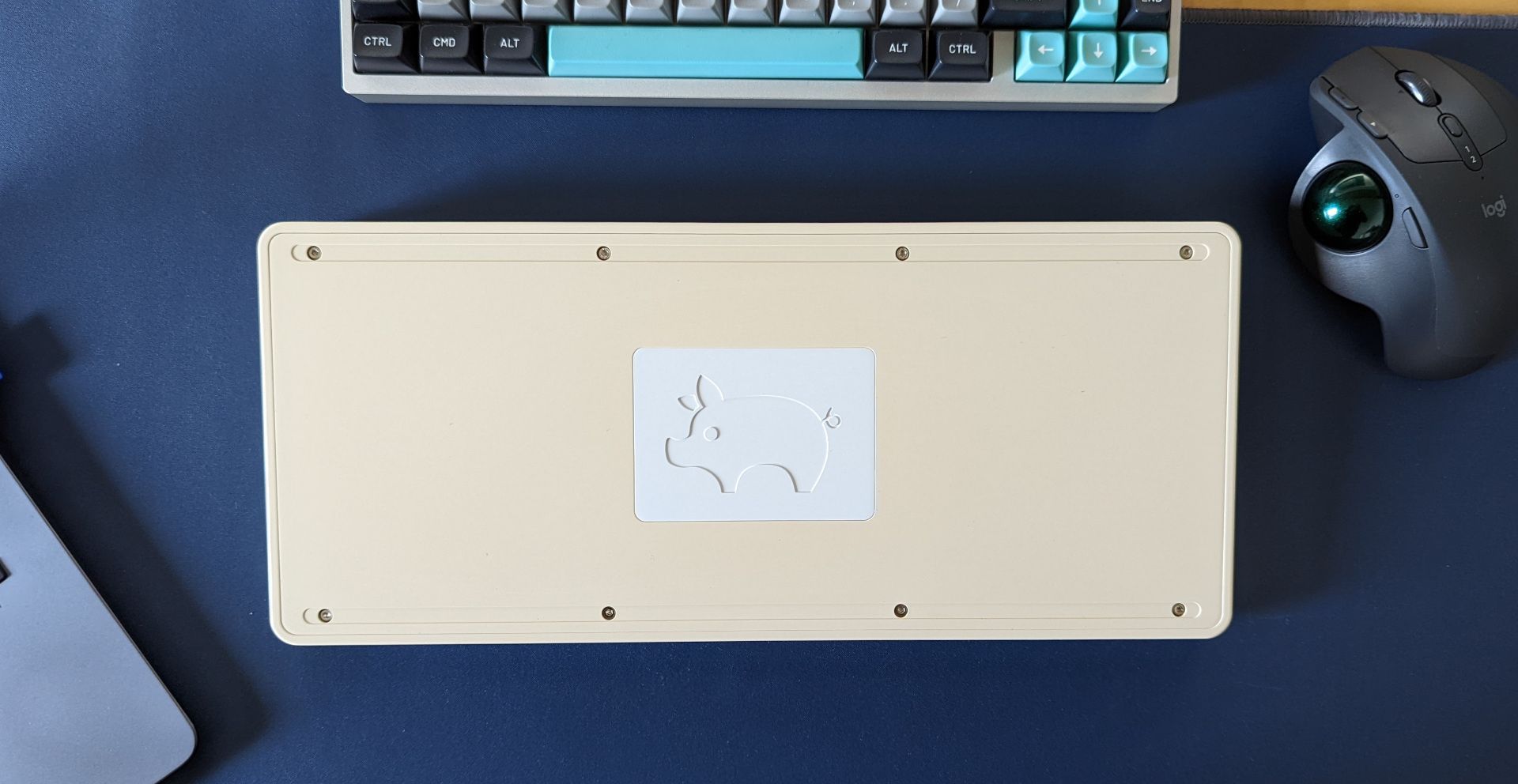 Piggy60 - Bottom