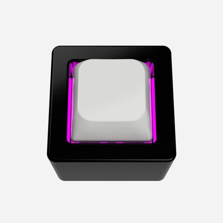 DP1 - Top