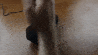 ISO Enter