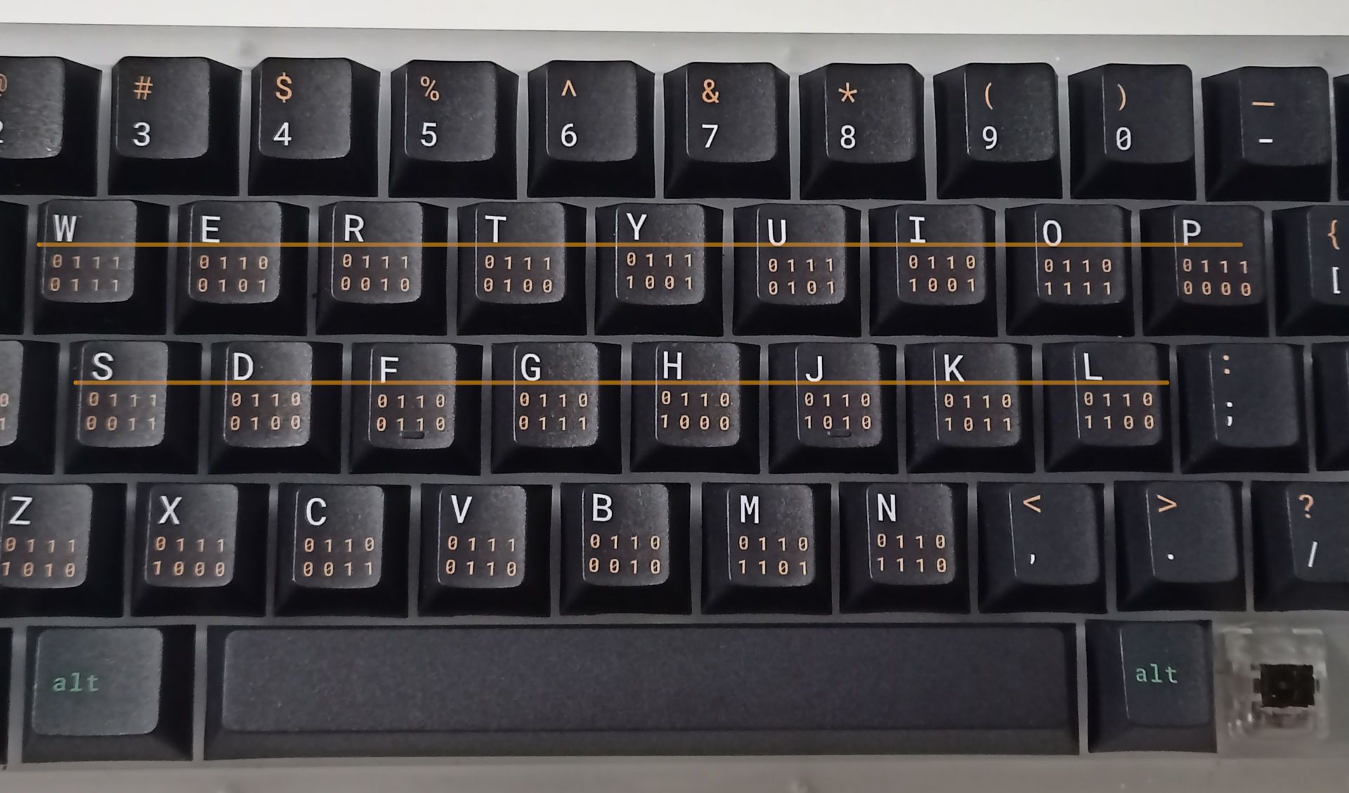 qPBT Terminal