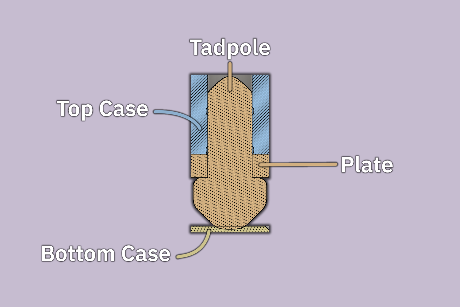 Tadpole