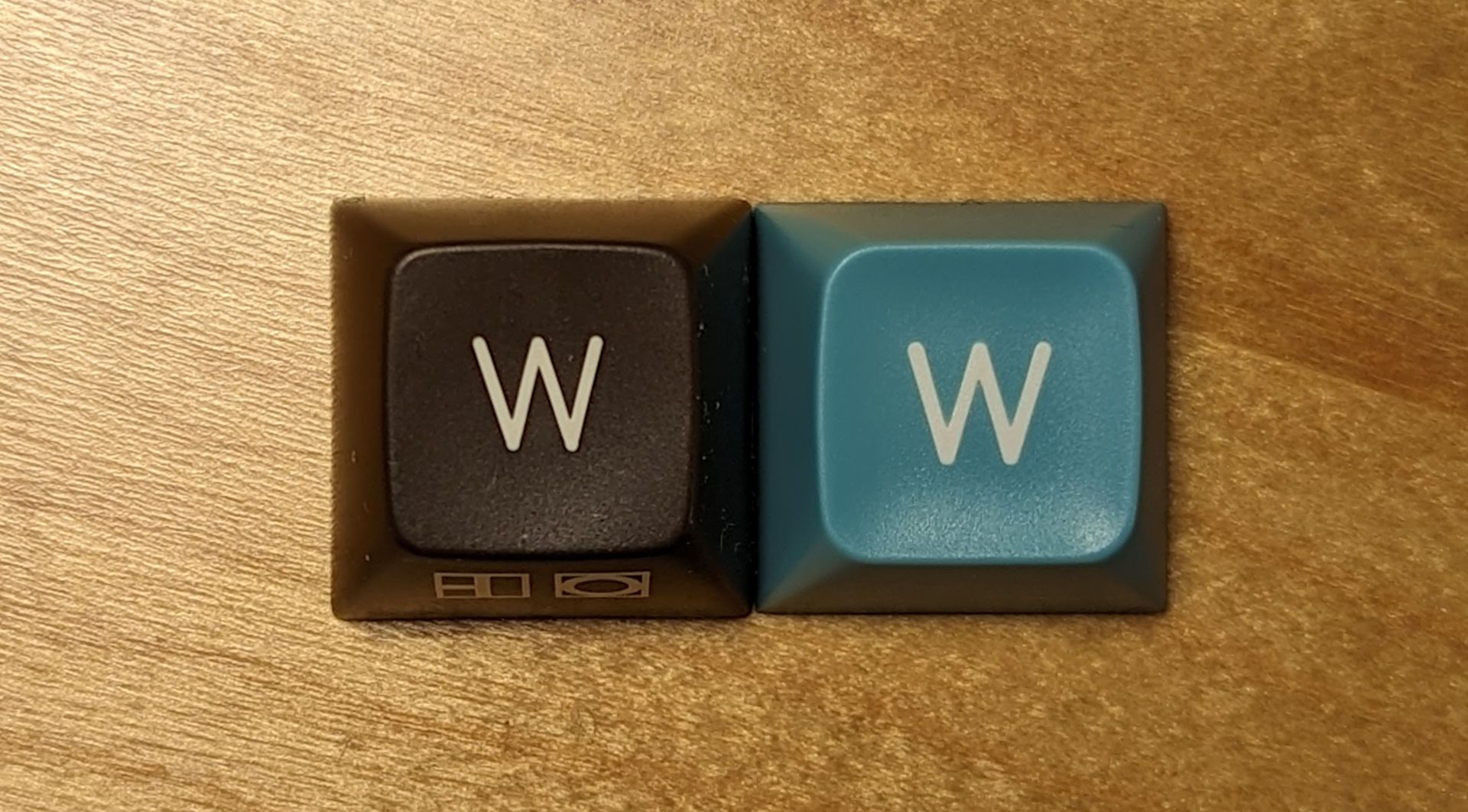 QX SA vs SA