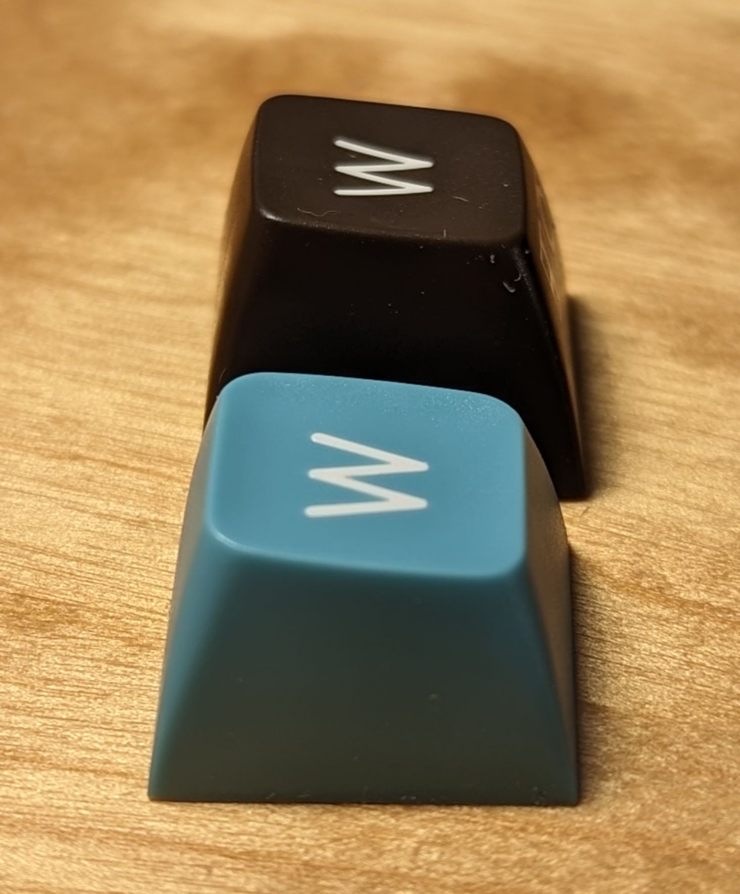 QX SA vs SA
